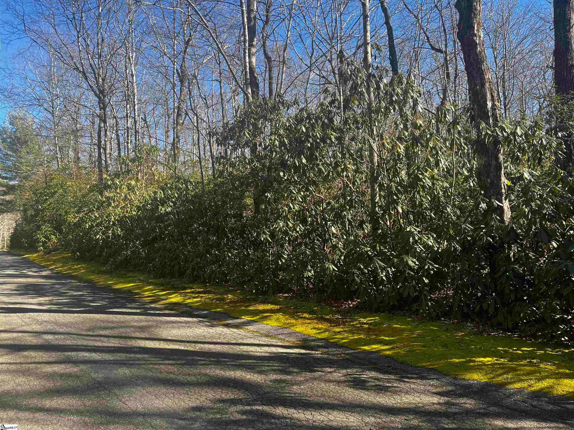 108 Hemlock Trail