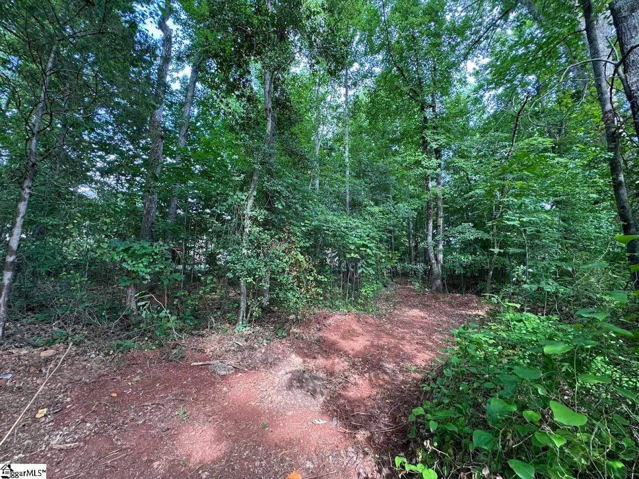 2025 Ivy Cottage Path