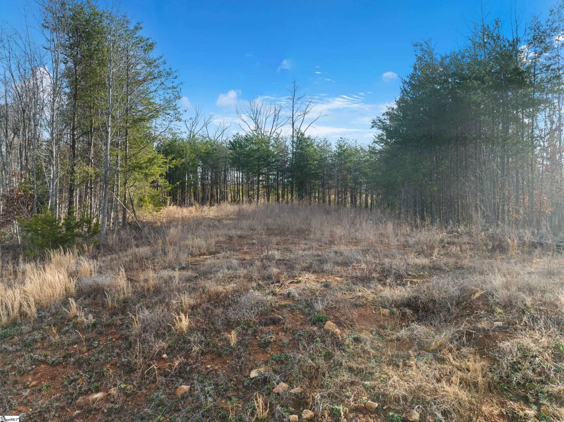 113 Pinelands Place