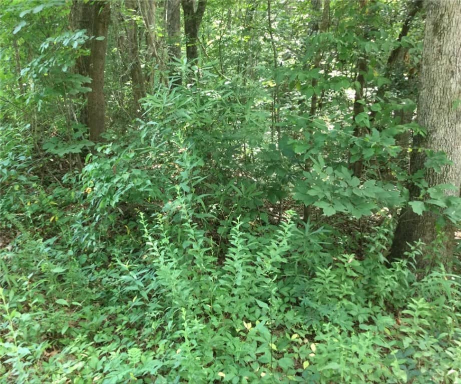 Lot 30 Fox Run Road