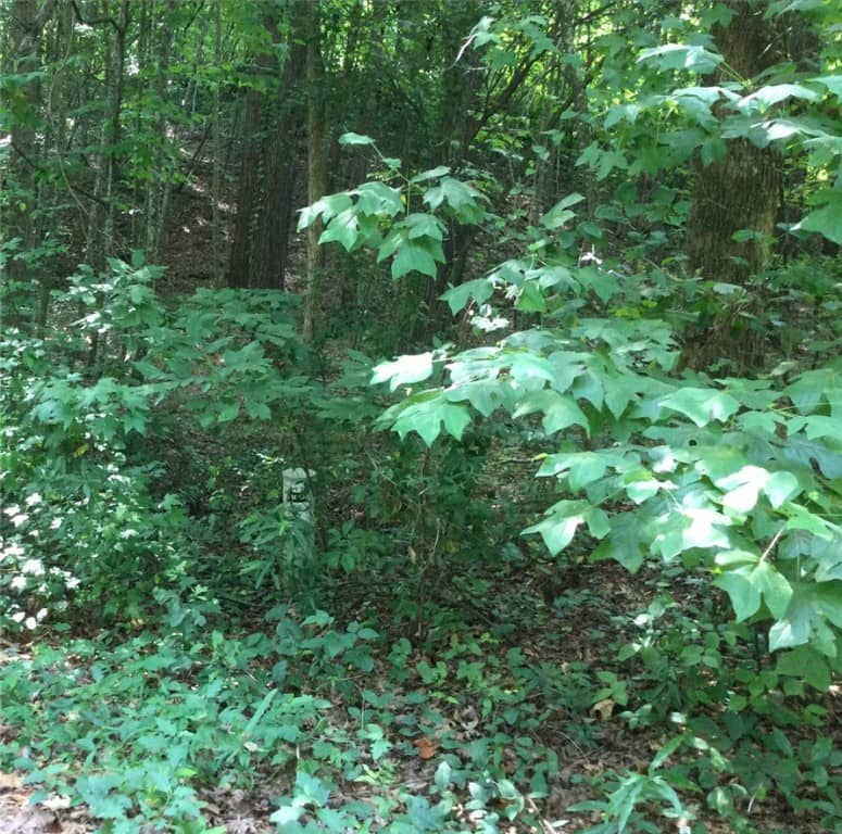 Lot 31 Den Ridge Drive