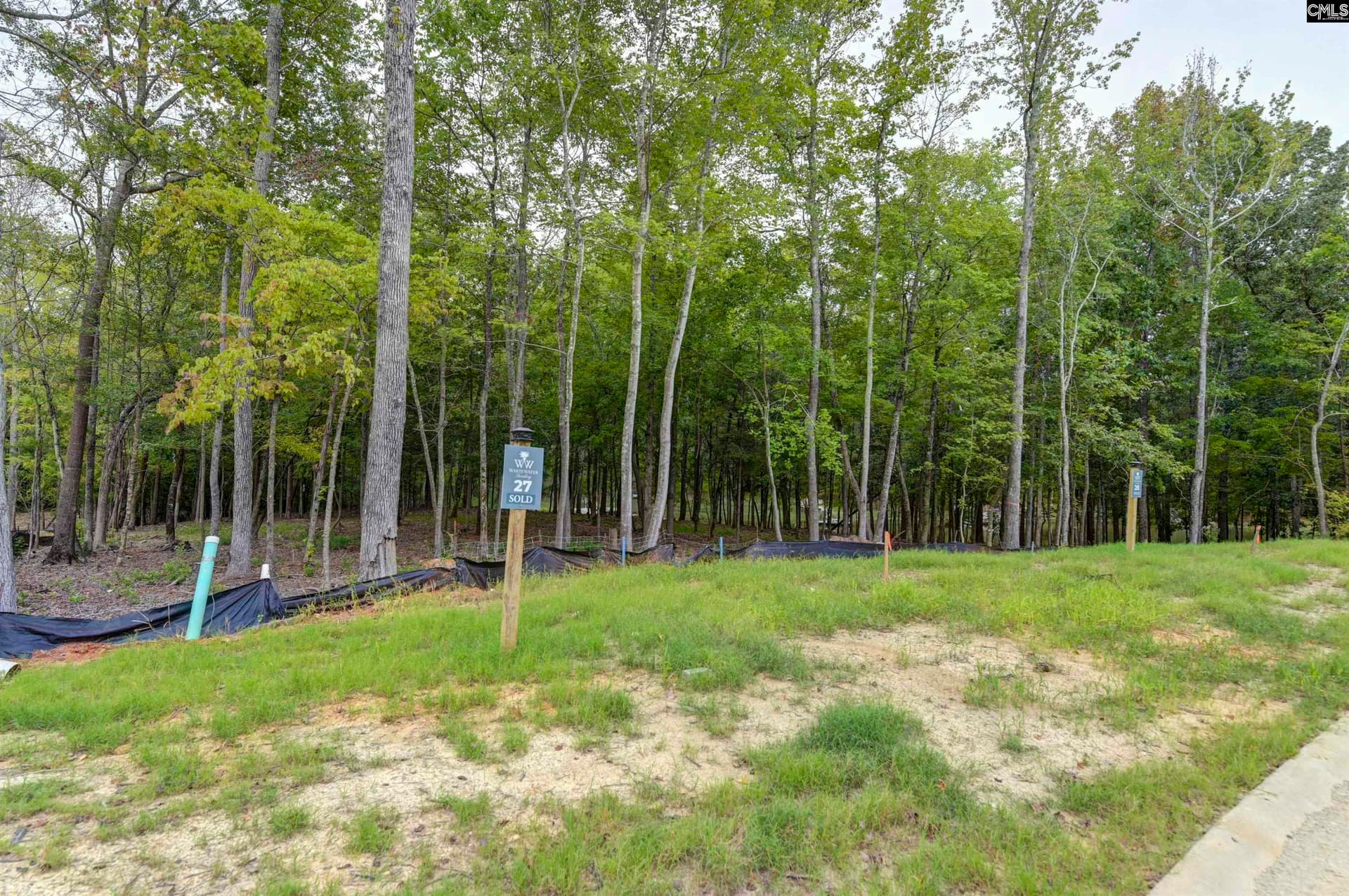 Property image 3 at 1068 Refuge Place, Chapin, SC 29036