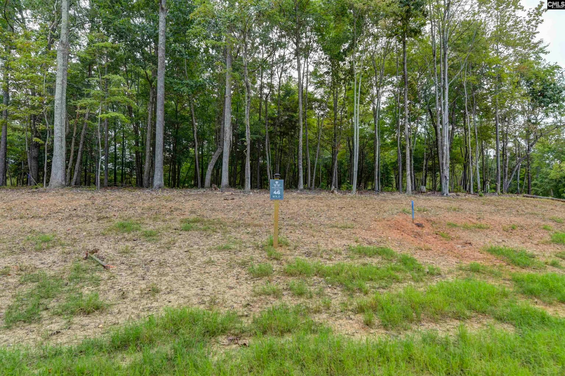 Property image 4 at 1068 Refuge Place, Chapin, SC 29036
