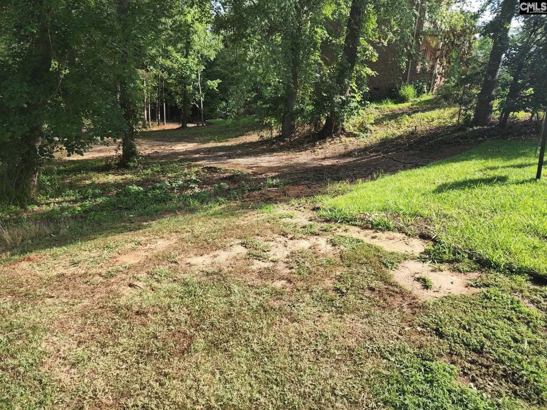 Property image 5 at 345 Bent Oak Drive, Chapin, SC 29036
