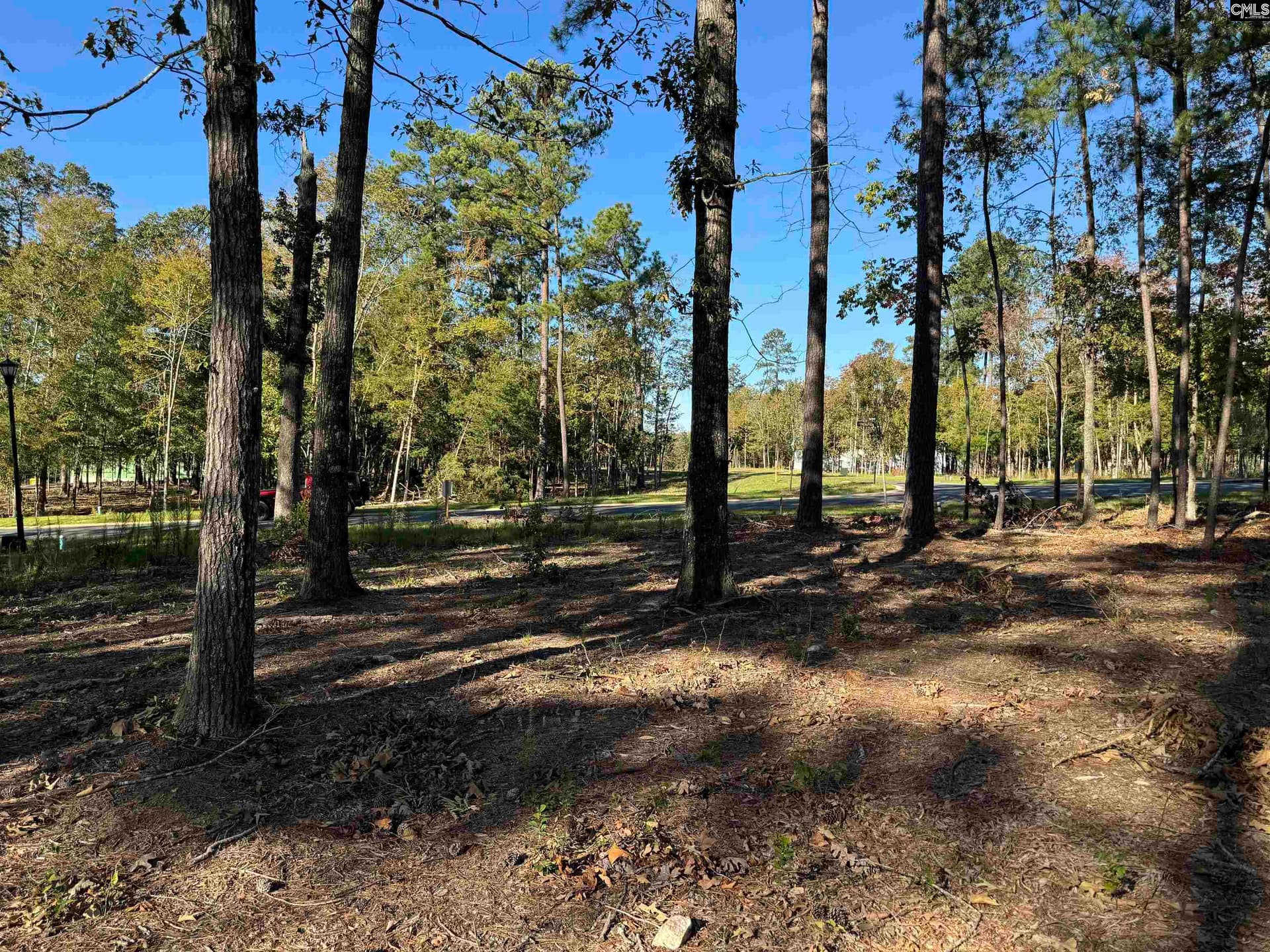 Property image 2 at 719 Mainsail Lane, Chapin, SC 29036