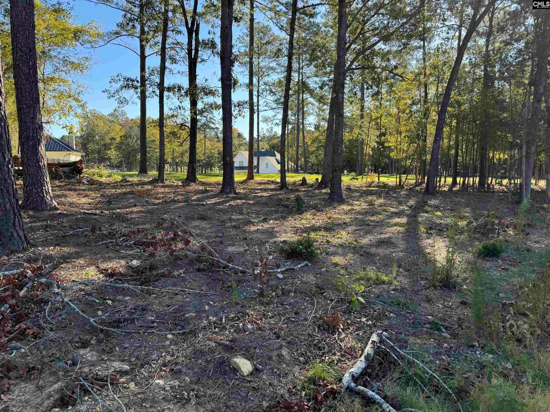 Property image 3 at 719 Mainsail Lane, Chapin, SC 29036