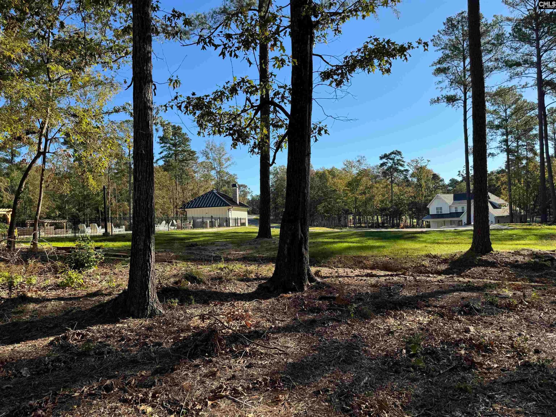Property image 4 at 719 Mainsail Lane, Chapin, SC 29036