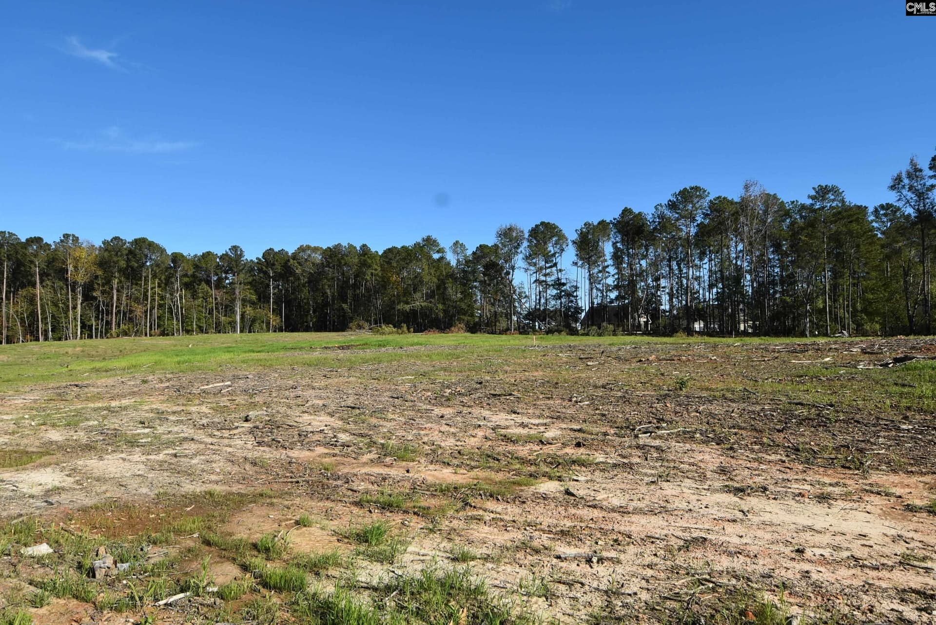 Property image 2 at Lot 8 Gold Nugget Point, Prosperity, SC 29127