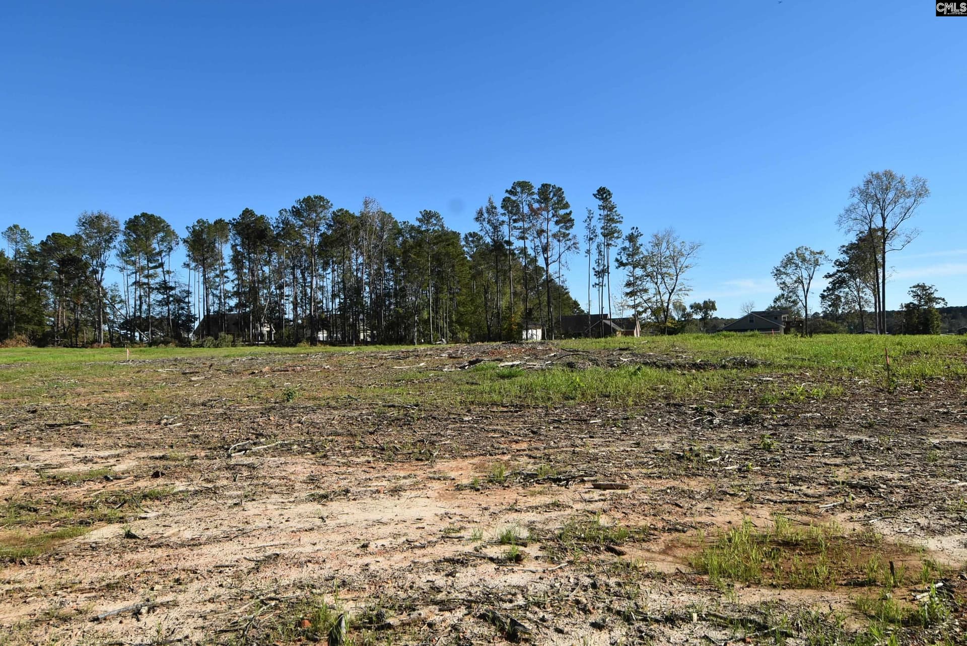 Property image 3 at Lot 8 Gold Nugget Point, Prosperity, SC 29127