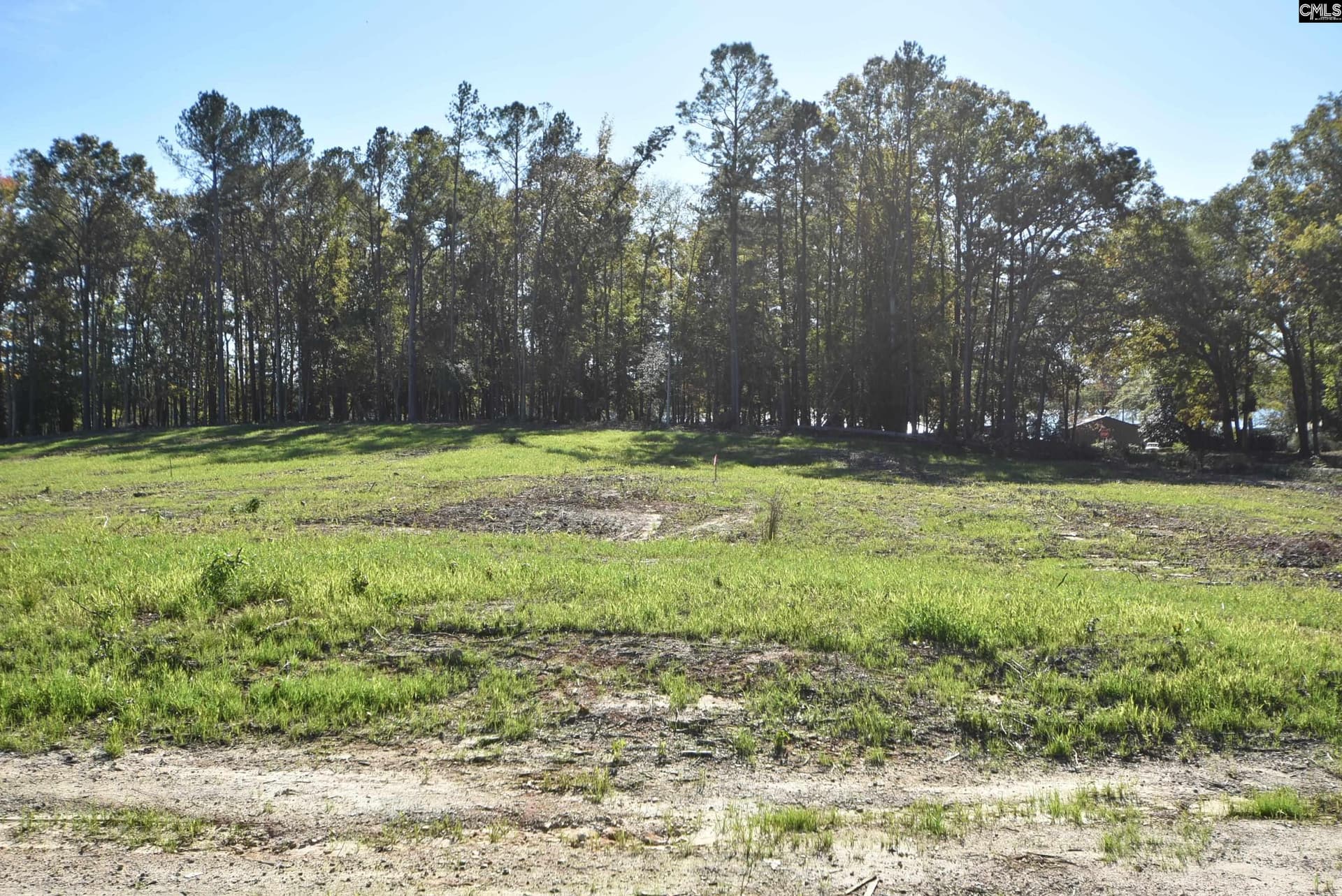 Property image 5 at Lot 8 Gold Nugget Point, Prosperity, SC 29127
