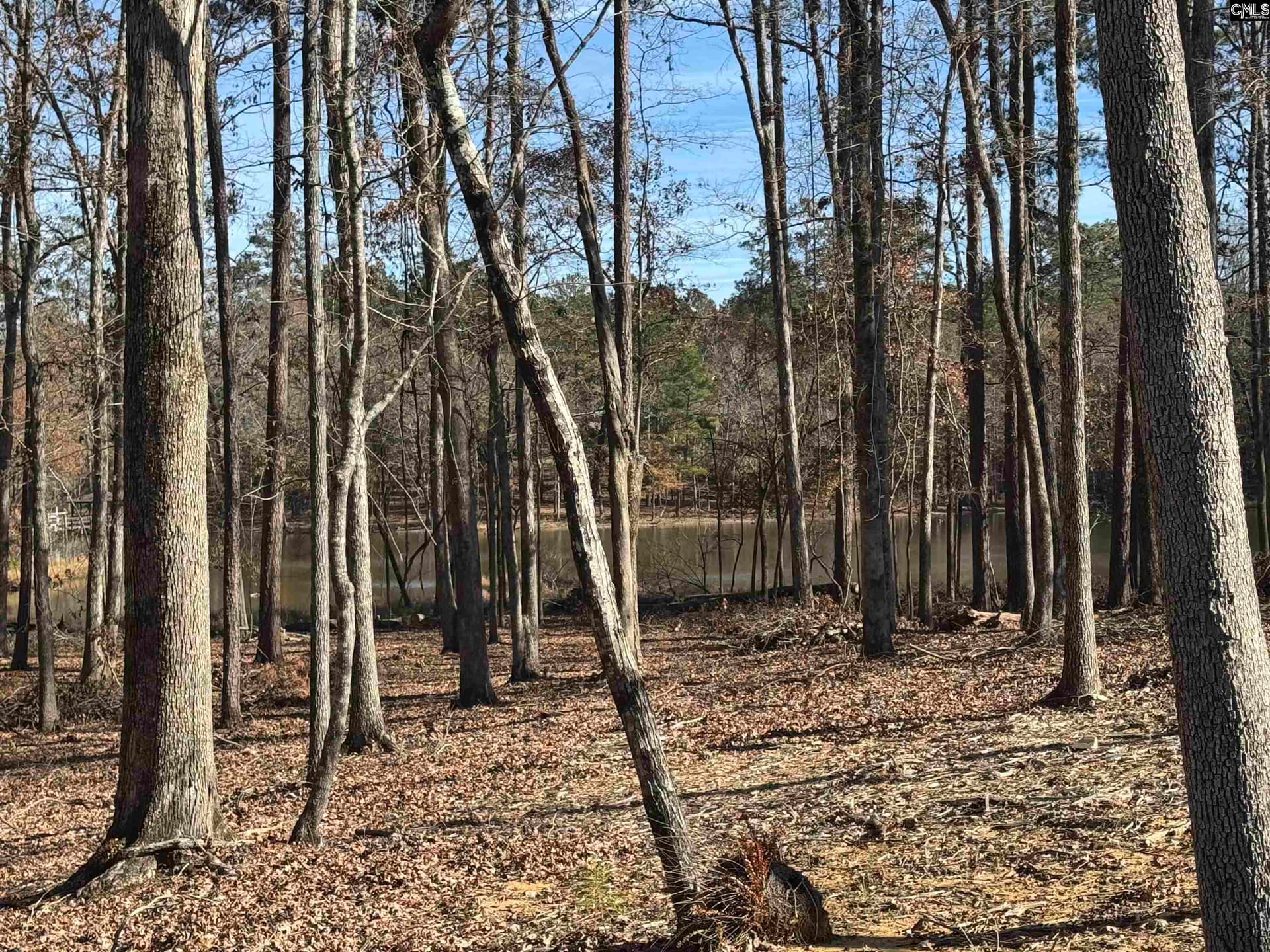Property image 3 at Lot 40 Shoreview Drive, Prosperity, SC 29127
