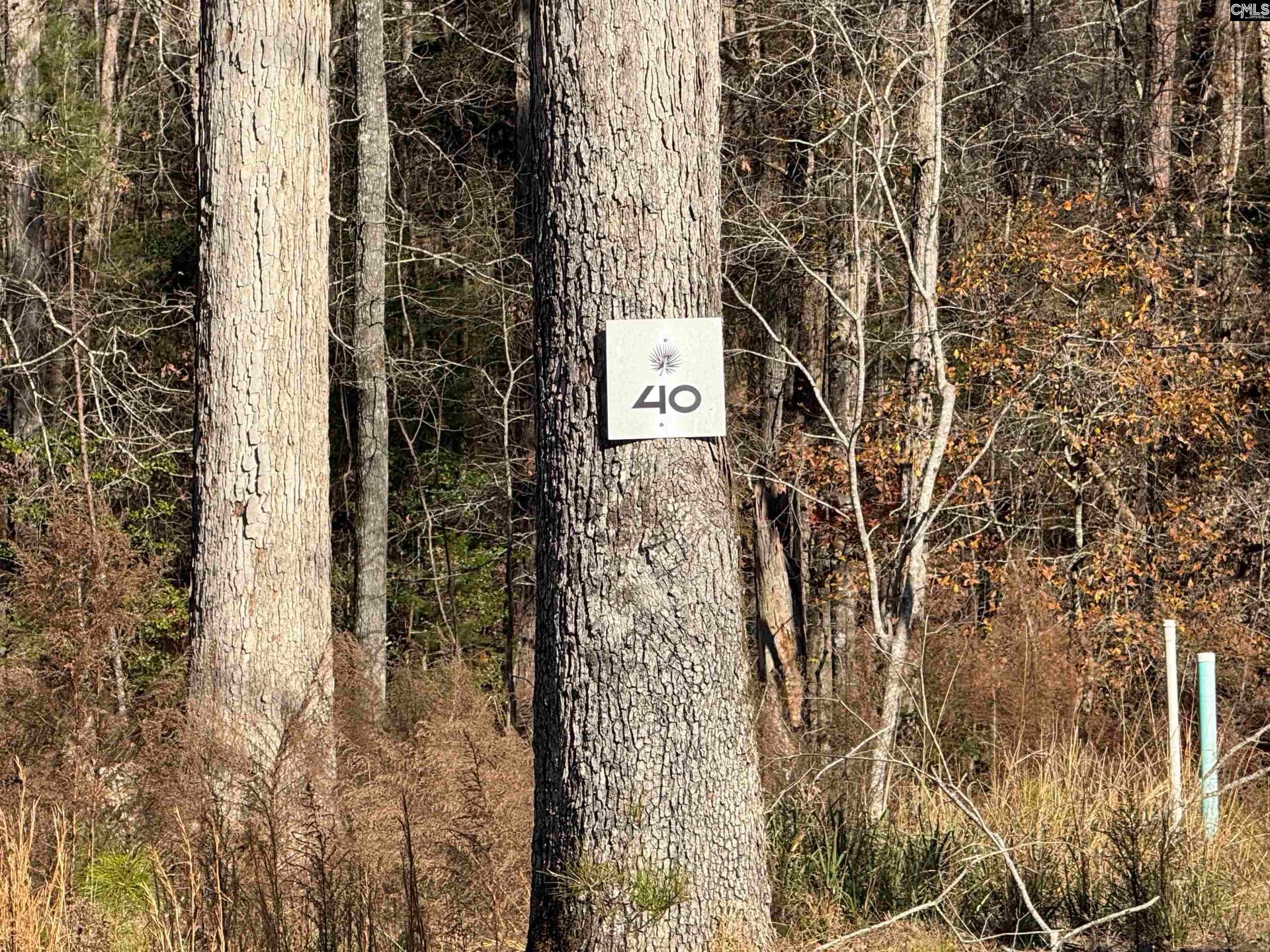 Property image 5 at Lot 40 Shoreview Drive, Prosperity, SC 29127