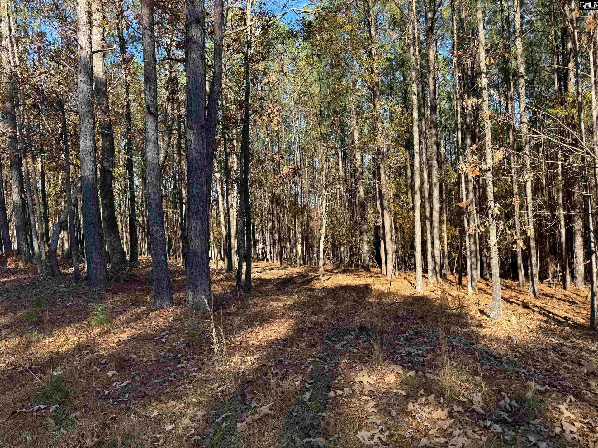 Property image 2 at Lot 203 Peninsula Drive, Prosperity, SC 29127