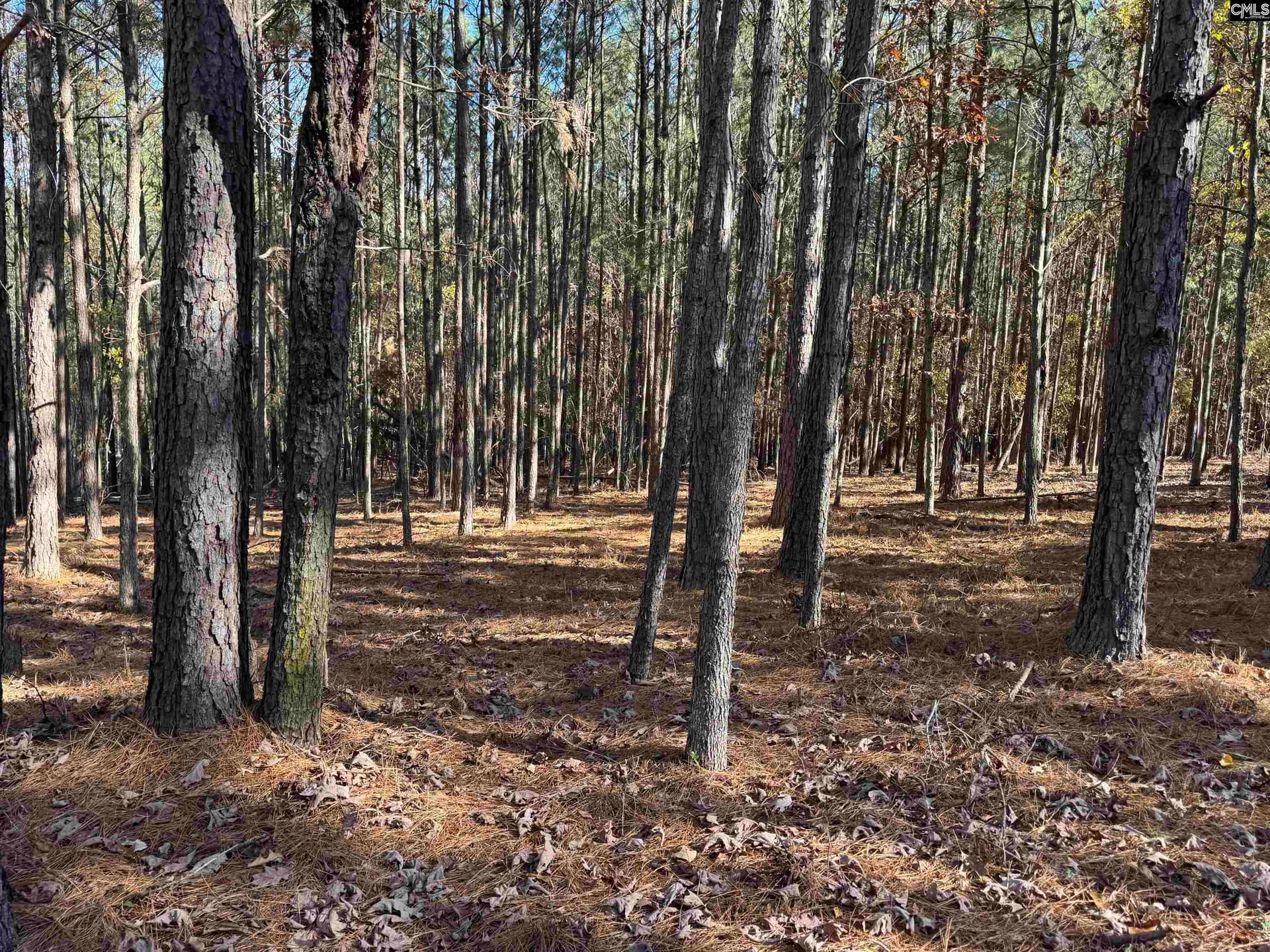 Property image 3 at Lot 203 Peninsula Drive, Prosperity, SC 29127