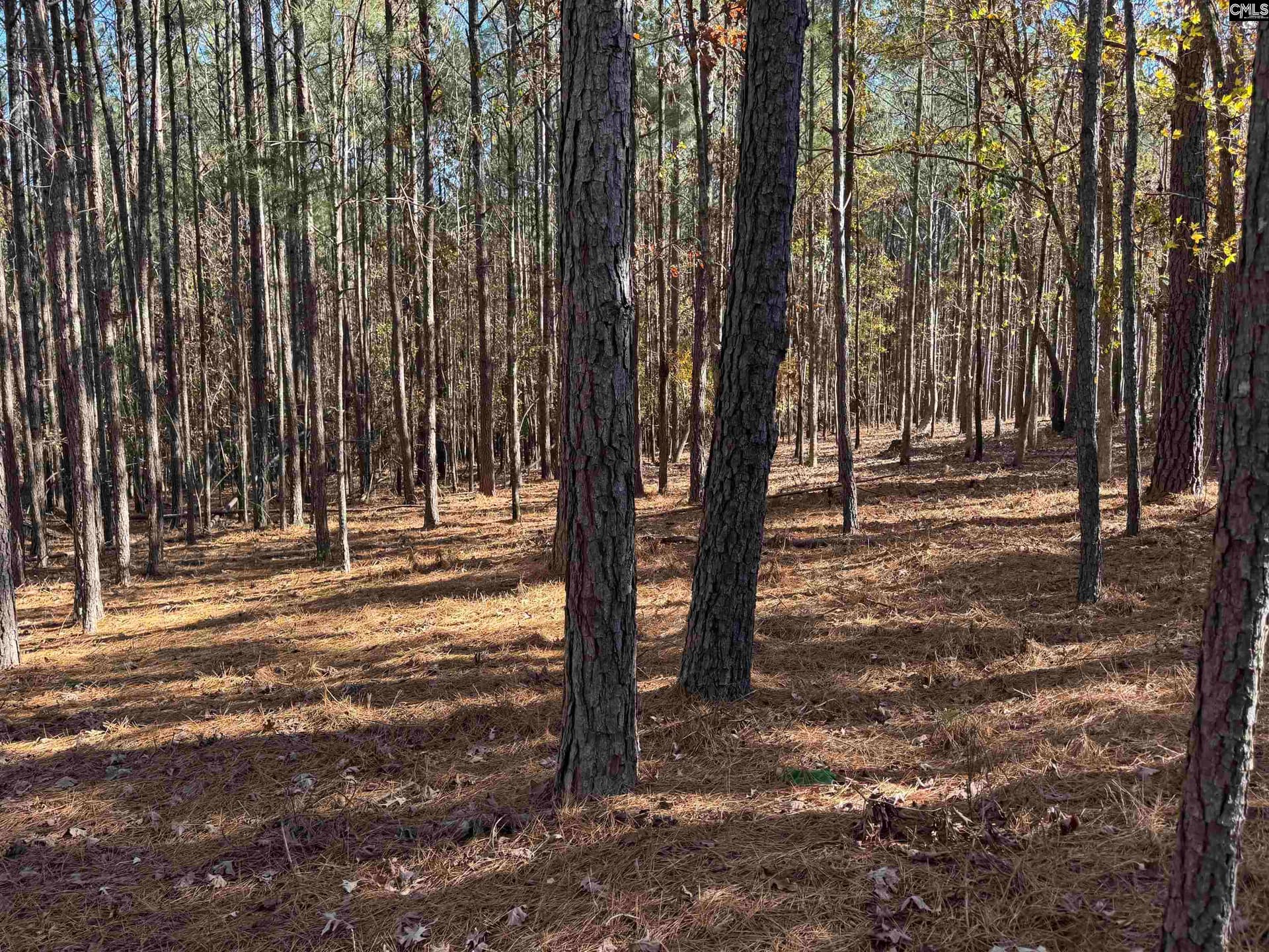 Property image 4 at Lot 203 Peninsula Drive, Prosperity, SC 29127