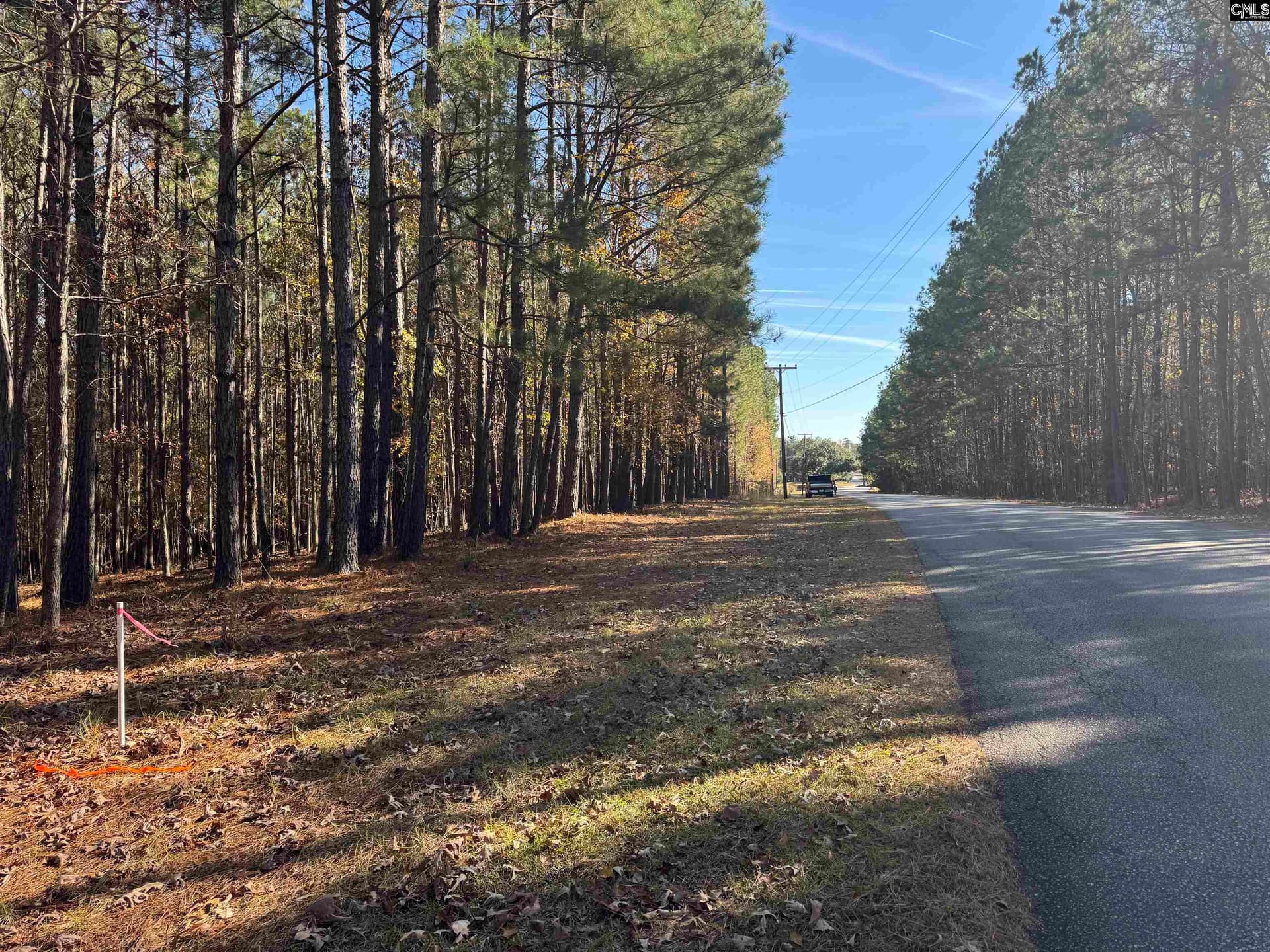 Property image 5 at Lot 203 Peninsula Drive, Prosperity, SC 29127