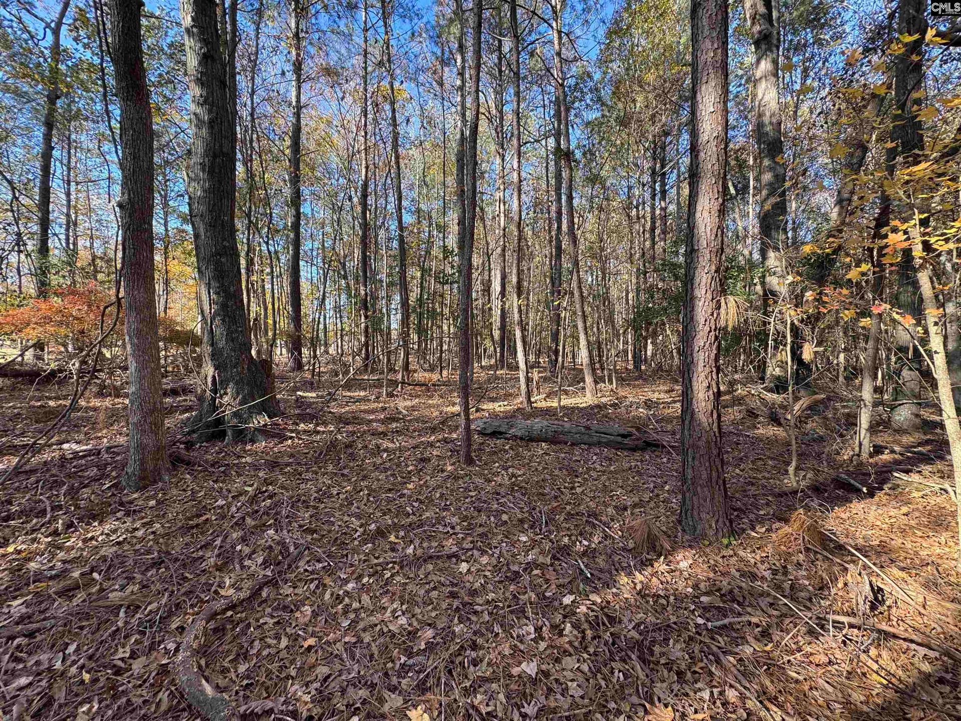 Property image 2 at Lot 210 Circle H Woods Road, Prosperity, SC 29127