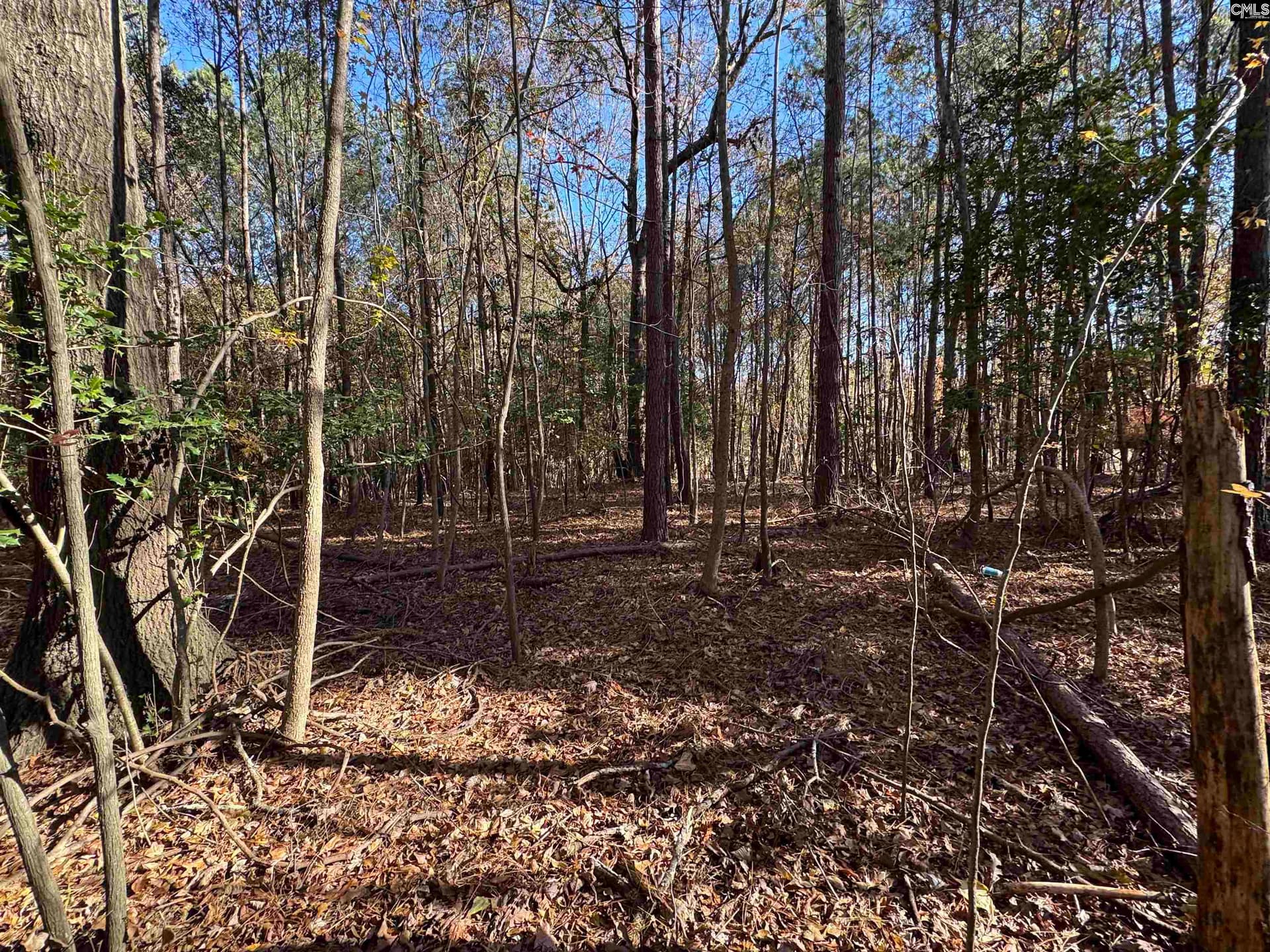 Property image 3 at Lot 210 Circle H Woods Road, Prosperity, SC 29127
