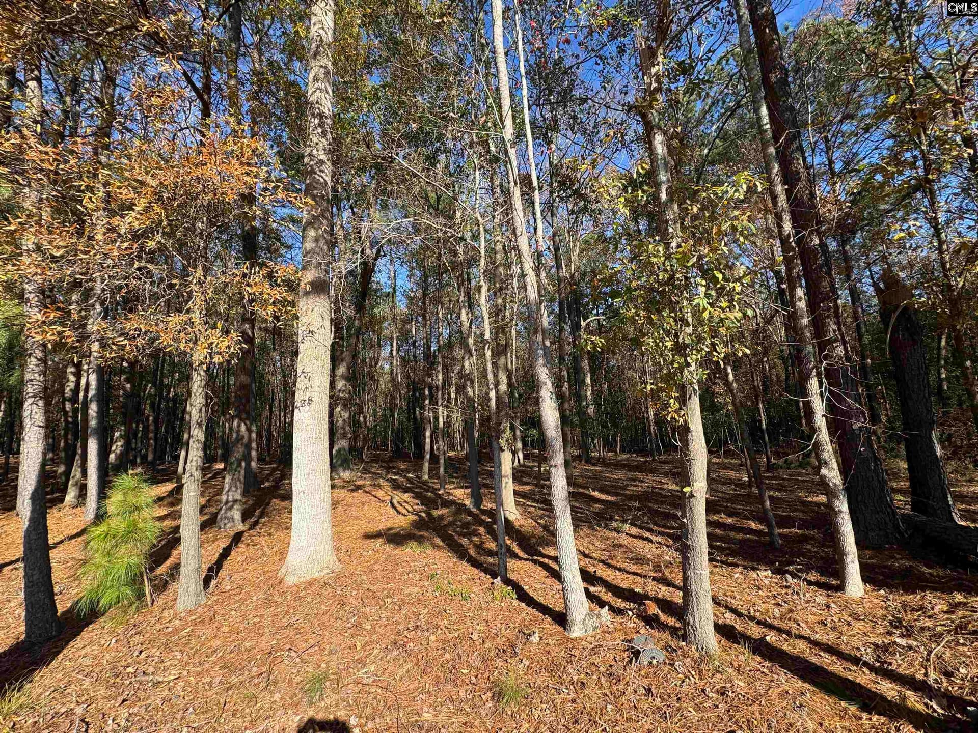 Property image 4 at Lot 210 Circle H Woods Road, Prosperity, SC 29127