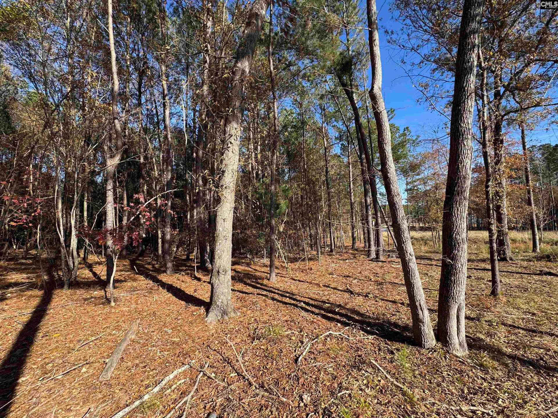 Property image 5 at Lot 210 Circle H Woods Road, Prosperity, SC 29127