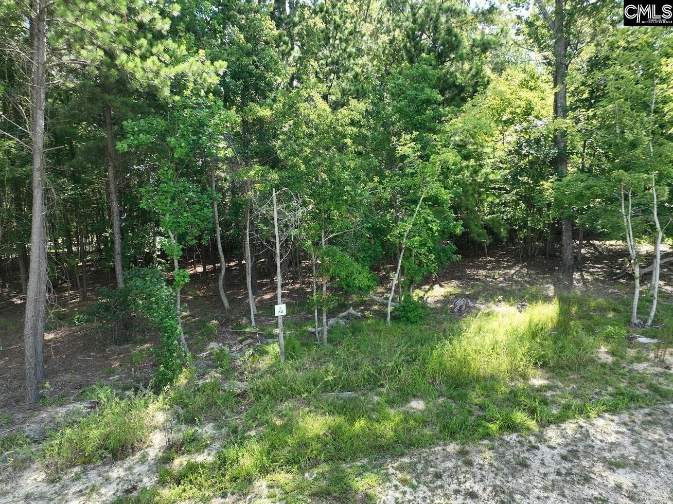 Property image 2 at Timber Trail Lane, Prosperity, SC 29127