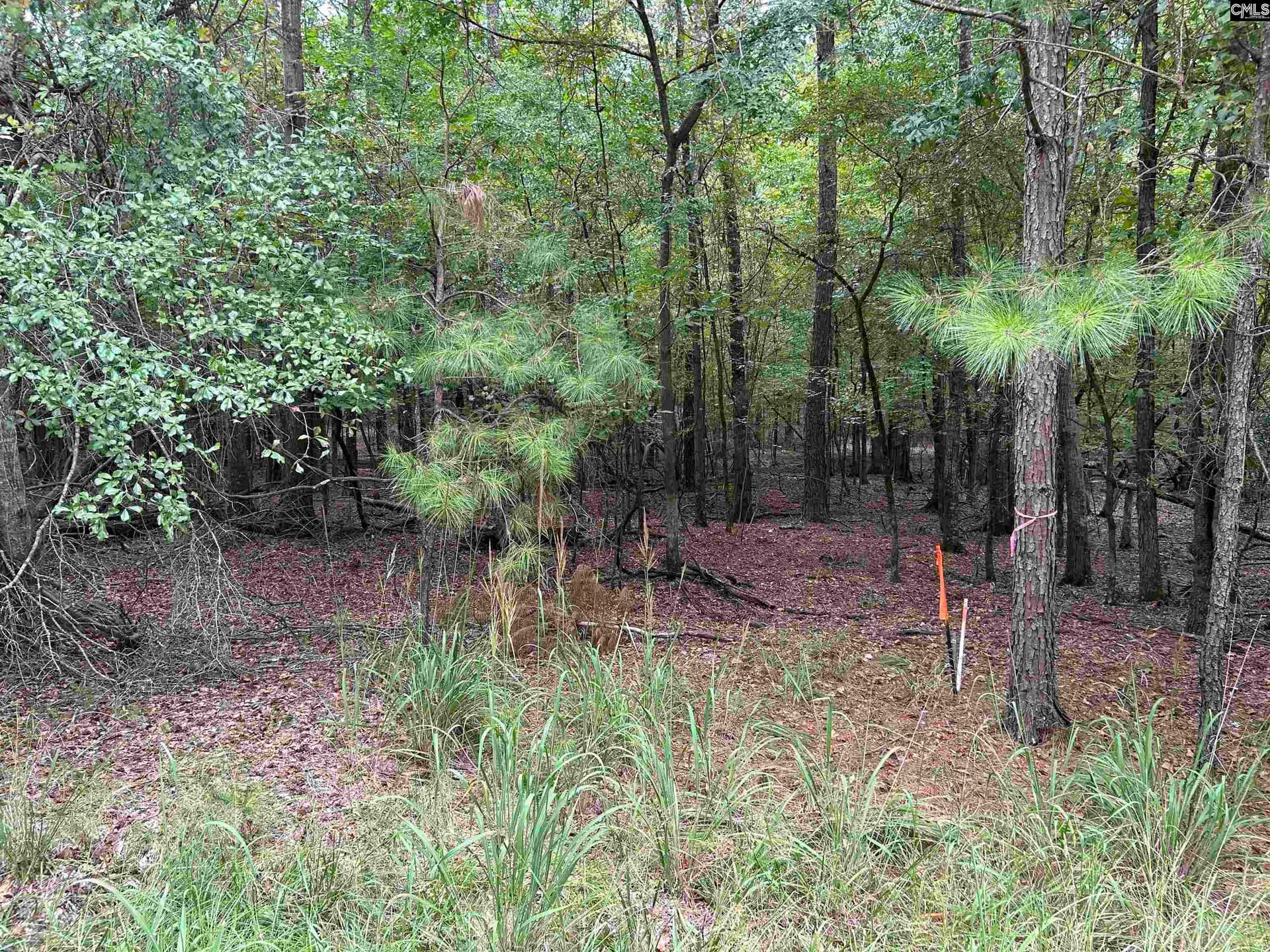 0 Little Saluda Lane