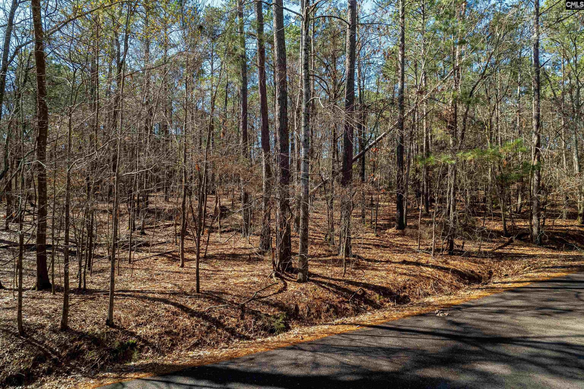 Little Saluda Lane