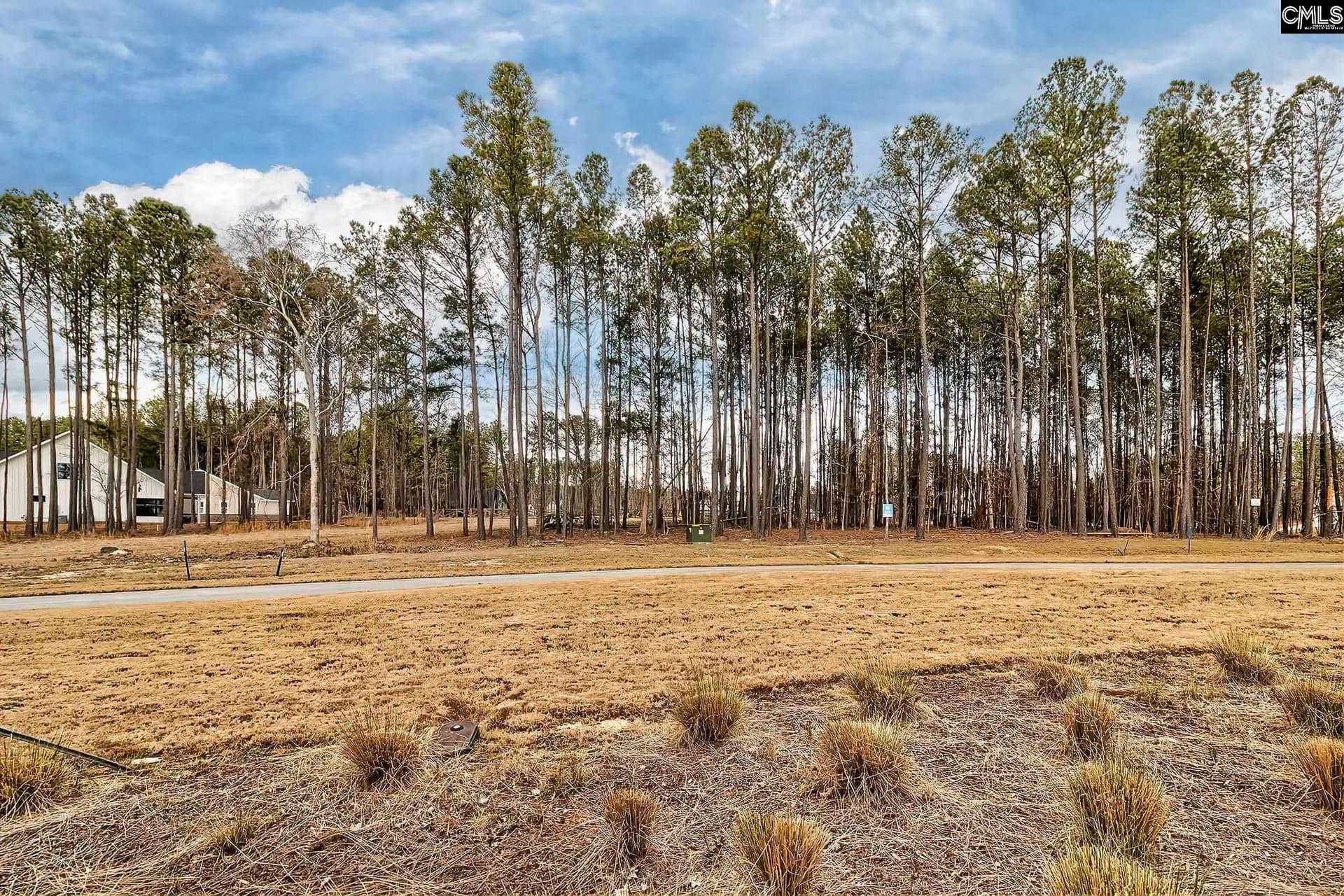 Property image 3 at 349 Stewart Landing, Prosperity, SC 29127
