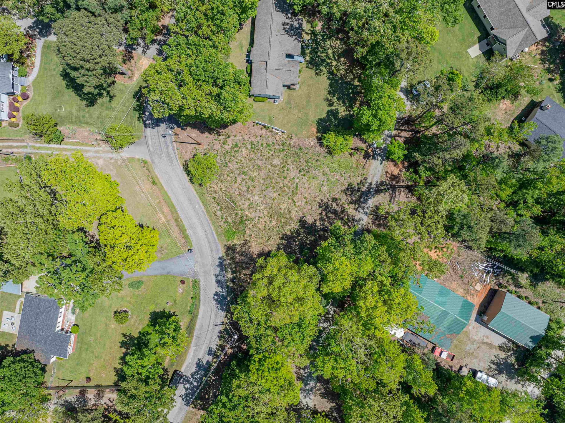 Property image 2 at 612 Green Meadow Drive, Chapin, SC 29036