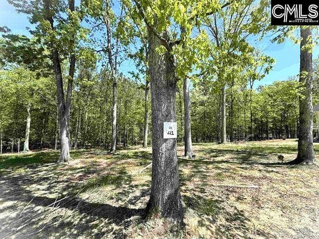 Property image 3 at 41 Shoreview Drive, Prosperity, SC 29127