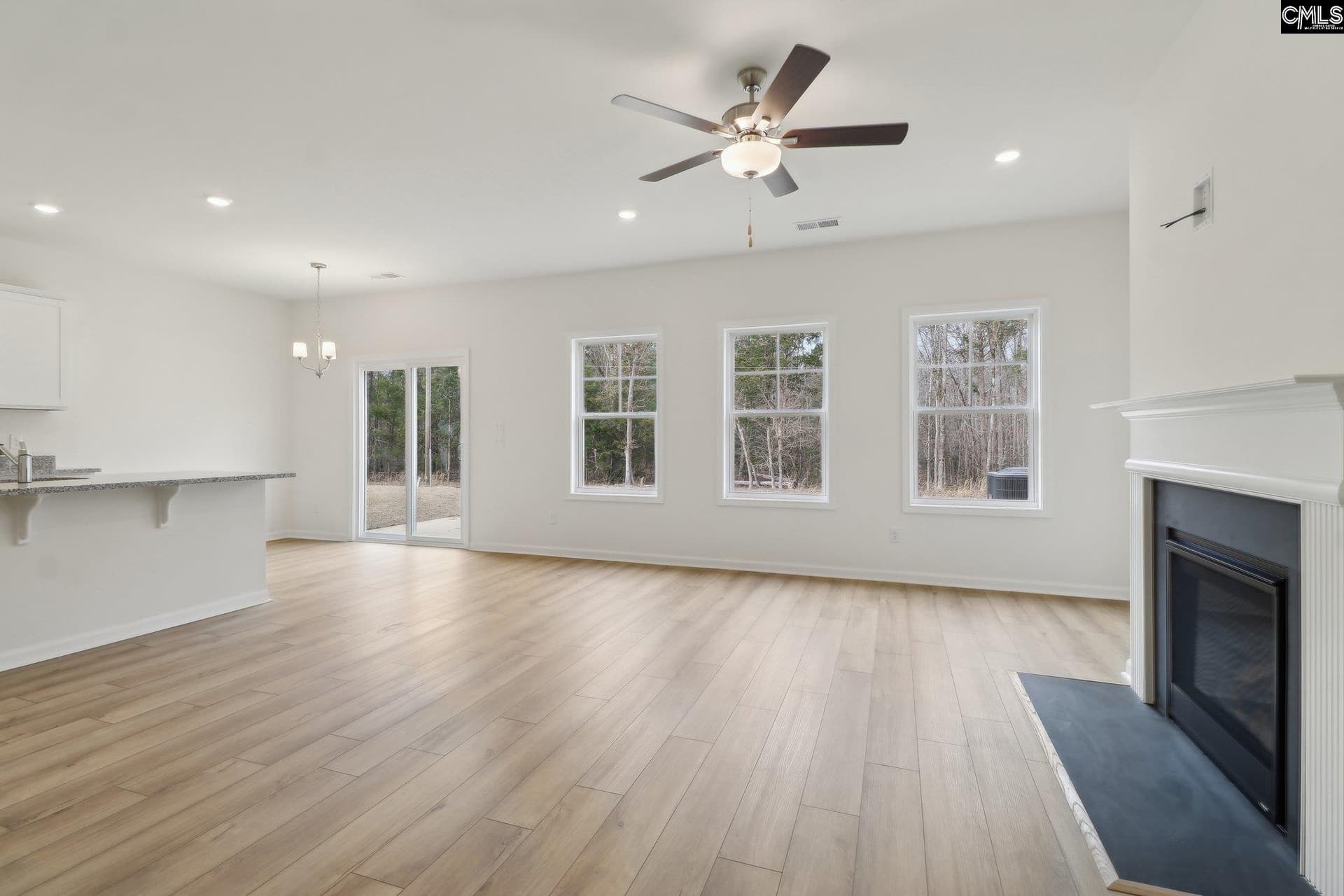 Property image 4 at 1076 Flat Coat Lane, Chapin, SC 29036
