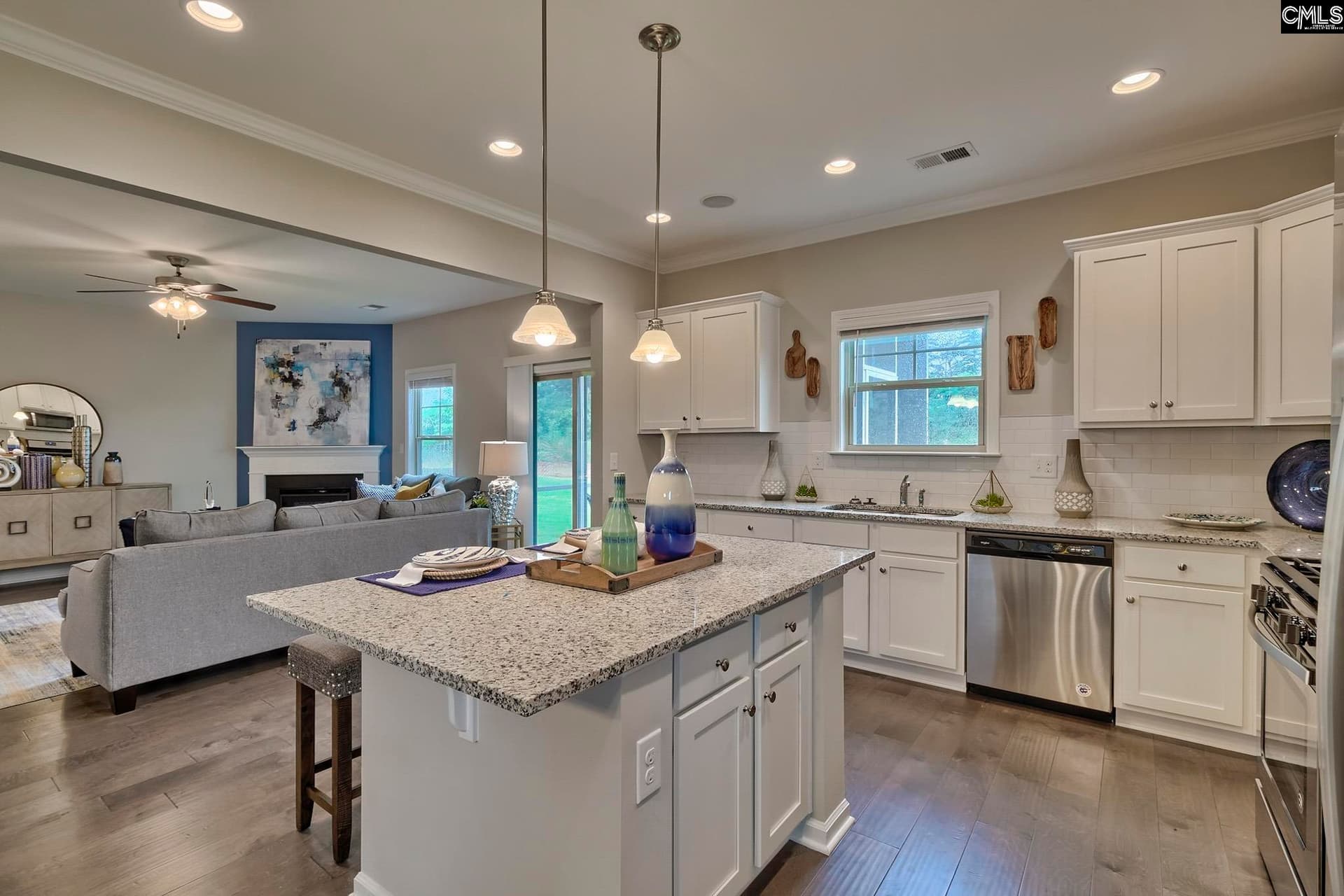 Property image 5 at 1077 Flat Coat Lane, Chapin, SC 29036