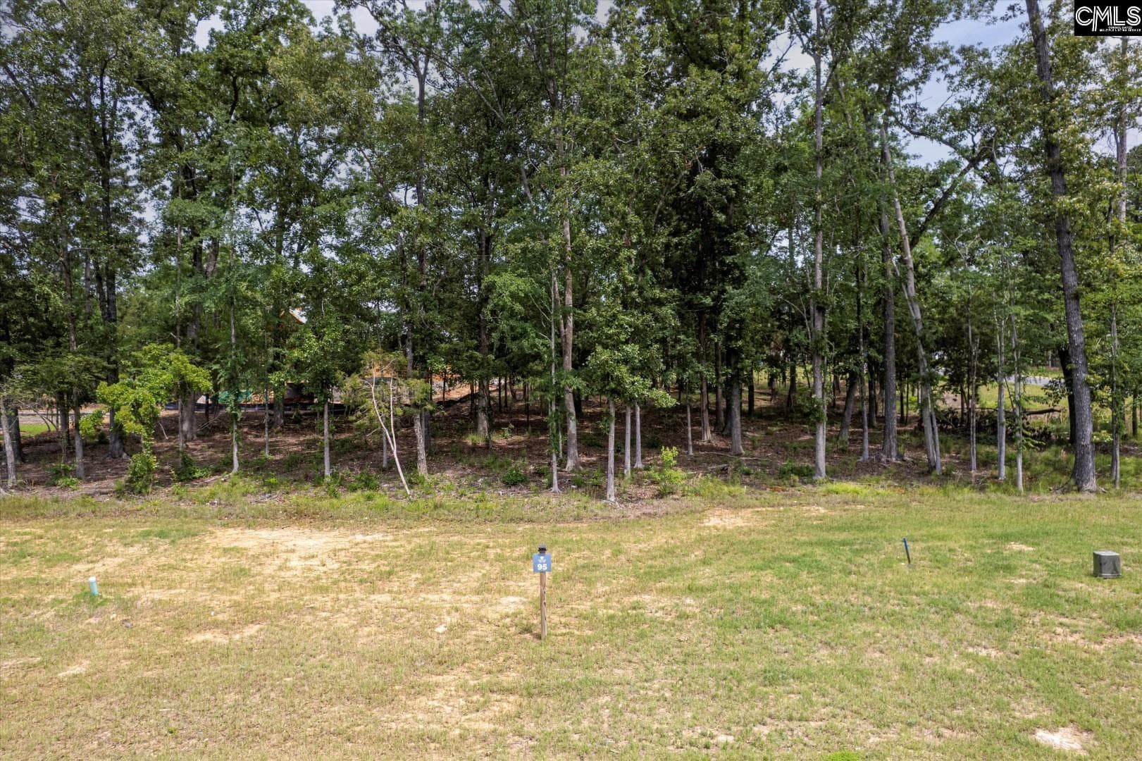Property image 2 at 608 Misty Banks Drive, Chapin, SC 29036