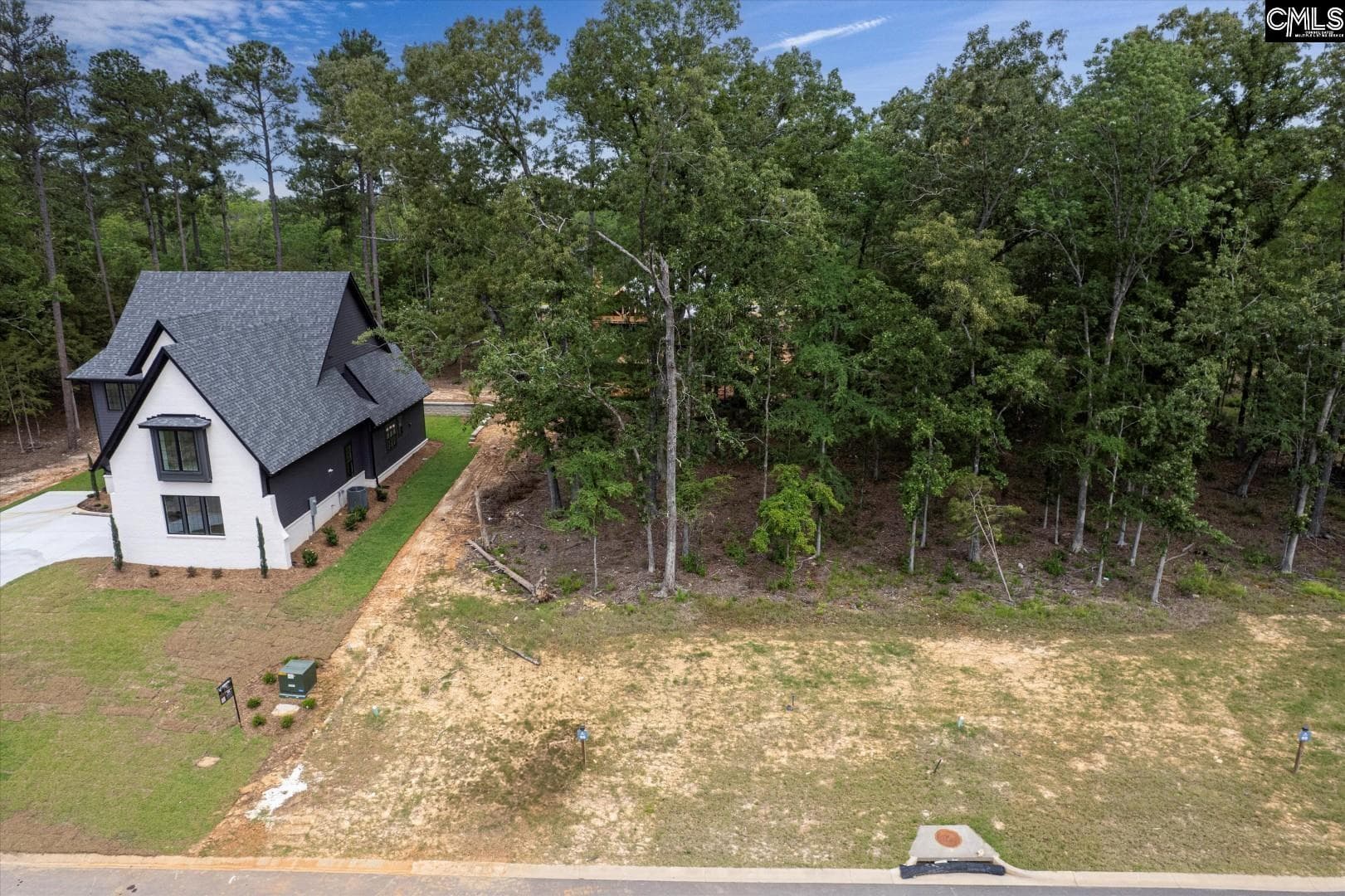 Property image 4 at 608 Misty Banks Drive, Chapin, SC 29036