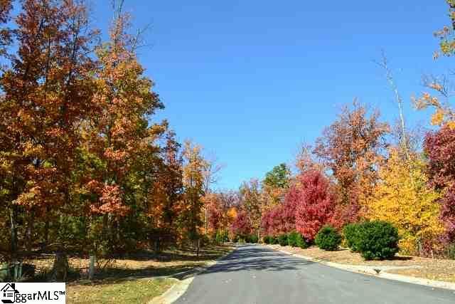 Property image 3 at 10 Dolce Vita Court, Greenville, SC 29609