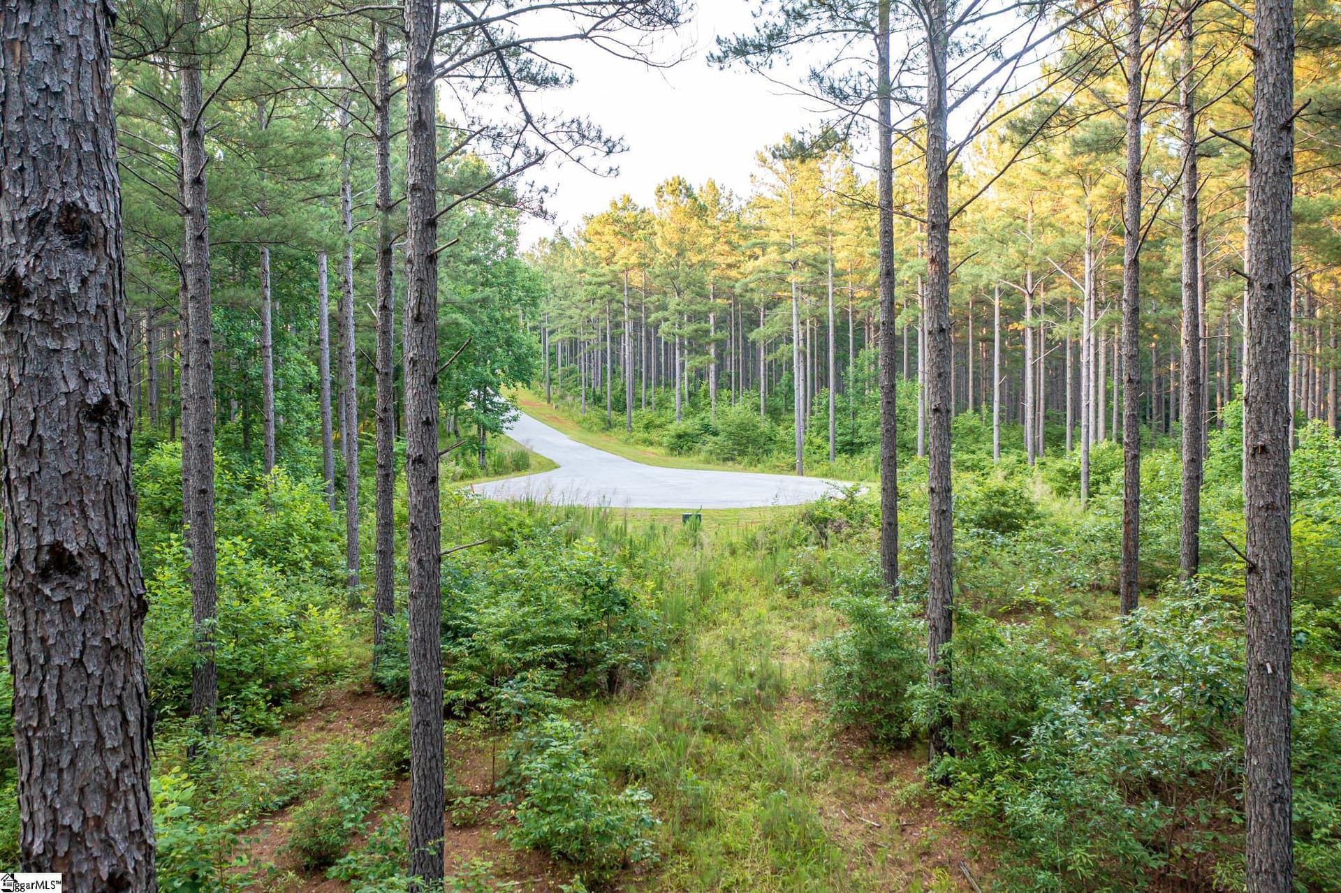 Property image 4 at 0 High Pines Drive, Salem, SC 29676