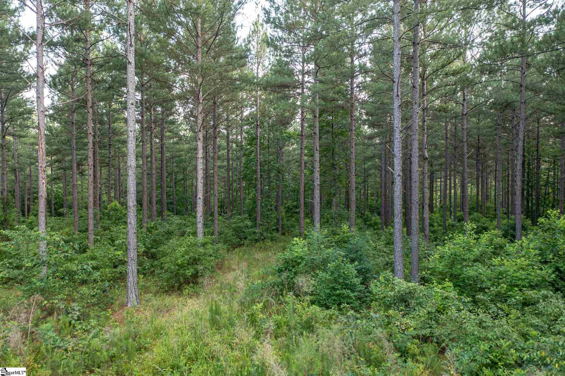 Property image 5 at 0 High Pines Drive, Salem, SC 29676