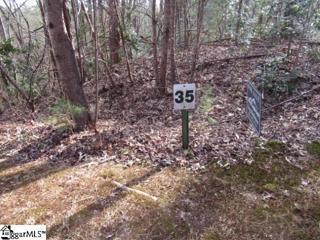 11 Matthews Creek Lane