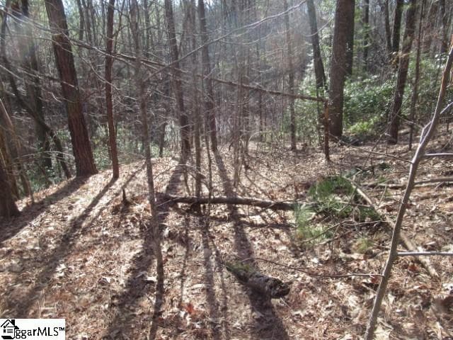 Property image 3 at 11 Matthews Creek Lane, Cleveland, SC 29635