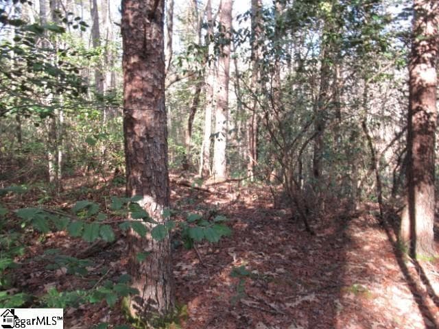 Property image 4 at 11 Matthews Creek Lane, Cleveland, SC 29635