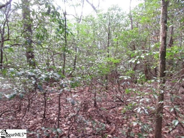 Property image 5 at 11 Matthews Creek Lane, Cleveland, SC 29635