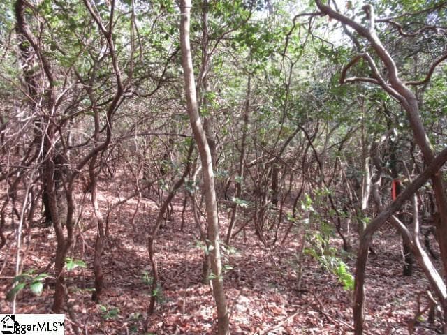 Property image 3 at 15 Matthews Creek Lane, Cleveland, SC 29635