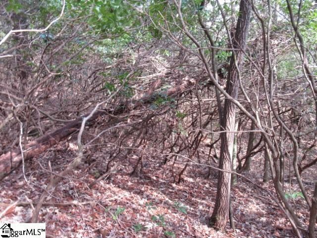 Property image 4 at 15 Matthews Creek Lane, Cleveland, SC 29635