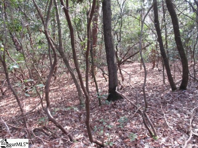 Property image 5 at 15 Matthews Creek Lane, Cleveland, SC 29635