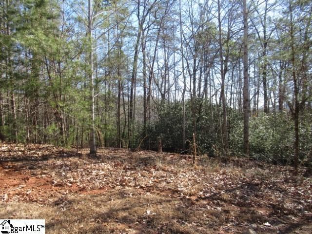 Woodmere - 065, Pickens Community