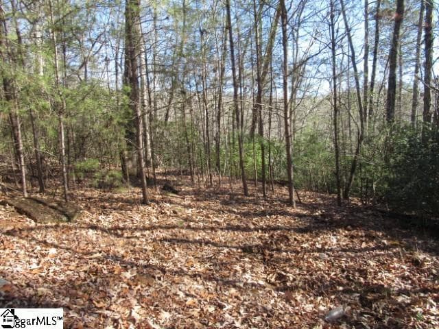 Property image 2 at 306 Woodmere Drive, Pickens, SC 29671