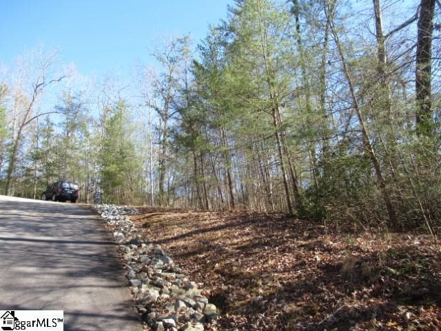 Property image 4 at 306 Woodmere Drive, Pickens, SC 29671