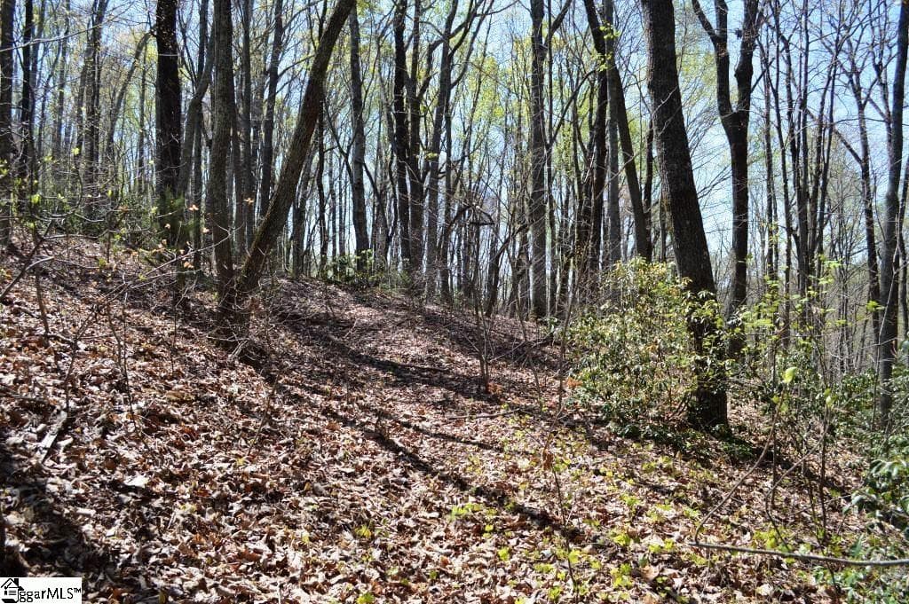 Property image 3 at 309 Laurel Valley Way, Travelers Rest, SC 29690