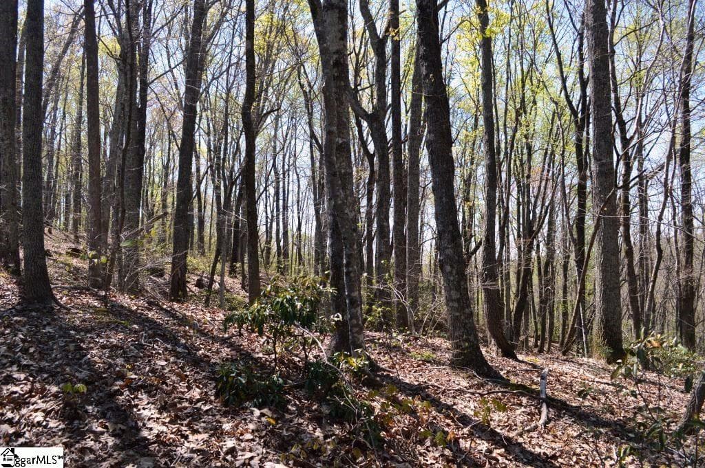 Property image 4 at 309 Laurel Valley Way, Travelers Rest, SC 29690
