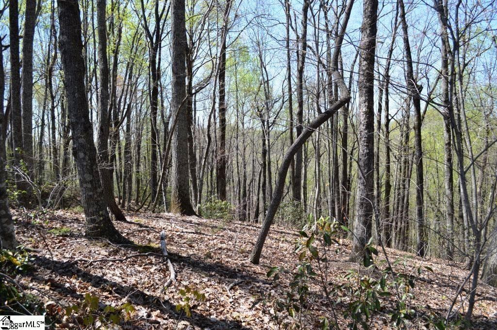 Property image 5 at 309 Laurel Valley Way, Travelers Rest, SC 29690